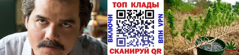 А ПВП Поворино