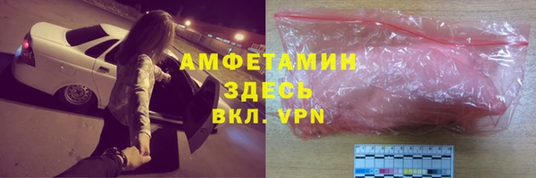 твердый Краснослободск