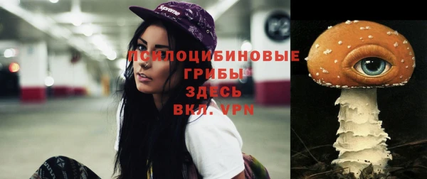 твердый Краснослободск