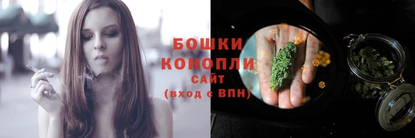 твердый Краснослободск