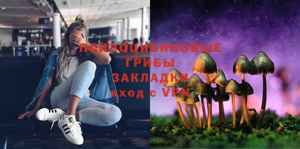 спиды Кукмор