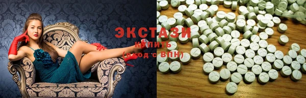 твердый Краснослободск