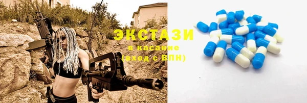 твердый Краснослободск