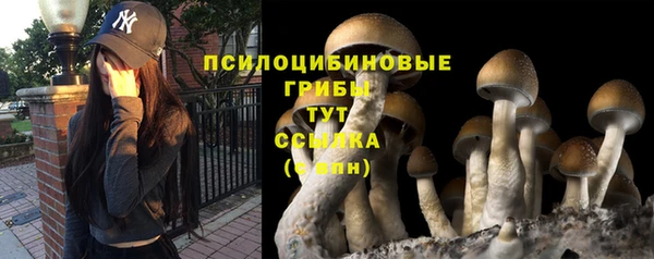 герыч Краснотурьинск