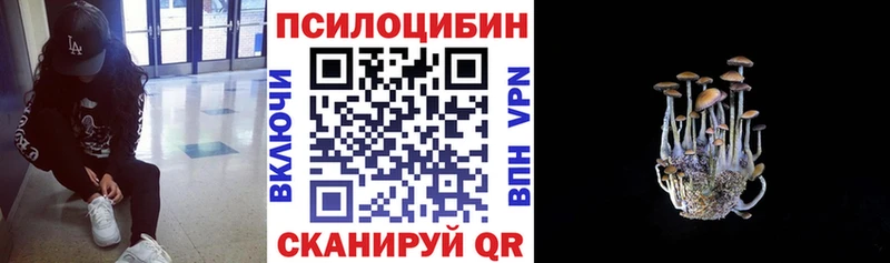 Псилоцибиновые грибы мухоморы  купить наркоту  Поворино 